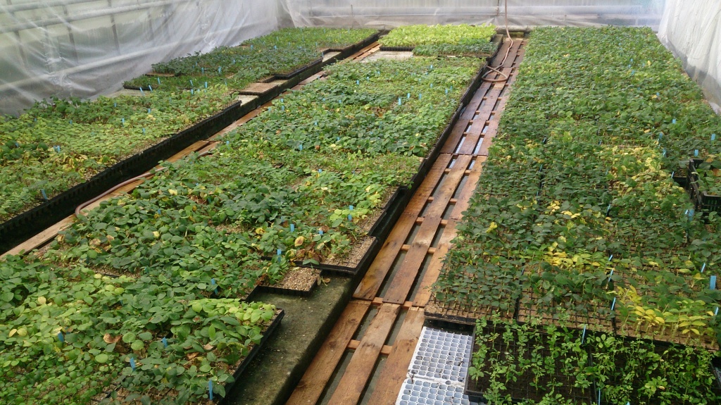 DSC_5077.jpg DSC_5077.jpg