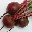 Свёкла столовая Бордо 237
