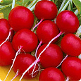 Редис Меркадо Редис Меркадо